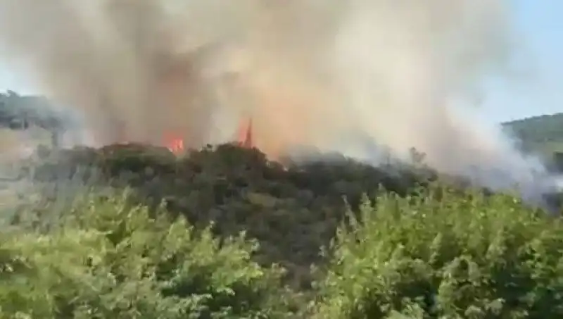 İstanbul'da Korkutan Orman Yangını: Tahliye Süreci Ne Kadar Sürecek?