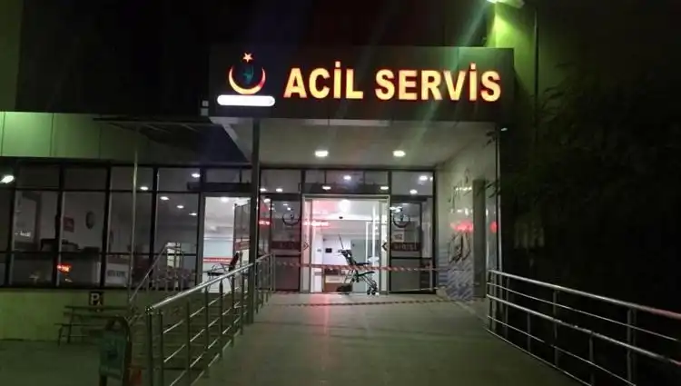 Kardeş Kavgasında Kan Aktı: Aile İçi Şiddetin Sonuçları Neler?