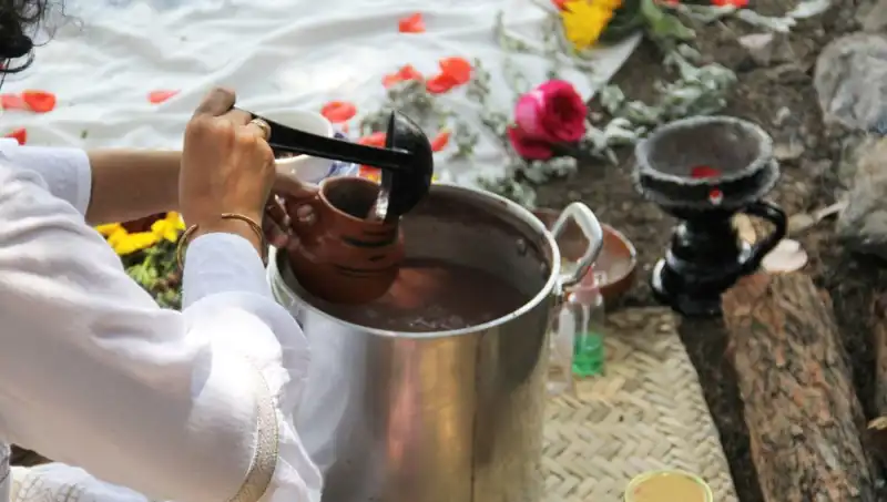 Ayahuasca Çayı: Gizemli Faydaları ve Yasal Durumu Nedir?